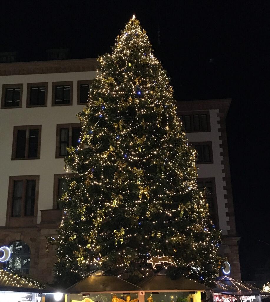 Die schönste Zeit des Jahres. Weihnachten